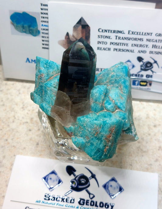 Stellar Phantom Smoky Quartz & Amazonite Crystal Plate from Colorado! 🔥💙