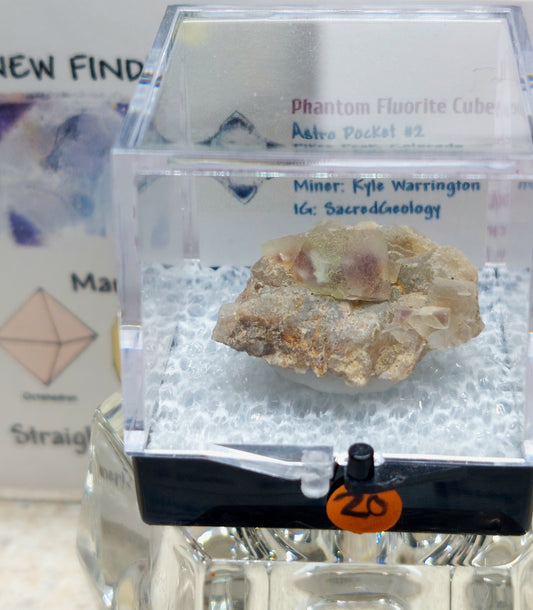 Colorado Octahedral Phantom Fluorite Cubes on Quartz 🔥💜