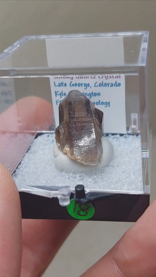 Gem Triple Smoky Quartz Crystal from Colorado 🔥🖤