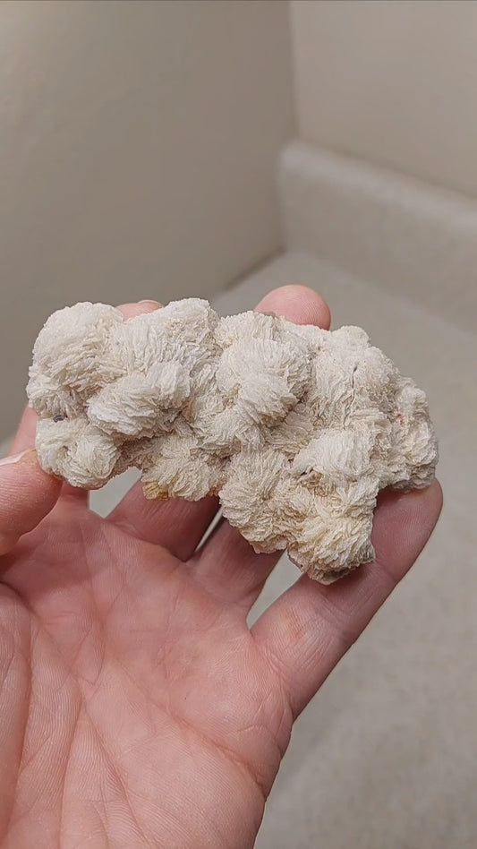 Large Albite Cleavelandite Crystal Specimen from Colorado 🤍🔥