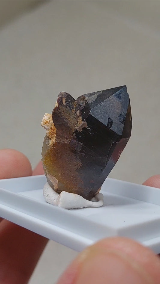 Dark Smoky Quartz Crystal from Colorado! 🔥